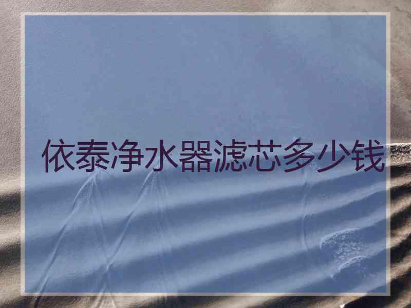 依泰净水器滤芯多少钱