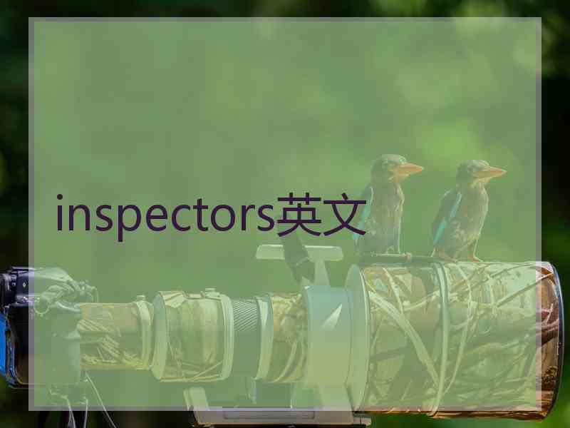 inspectors英文