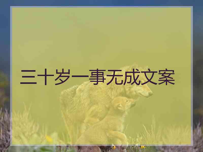 三十岁一事无成文案