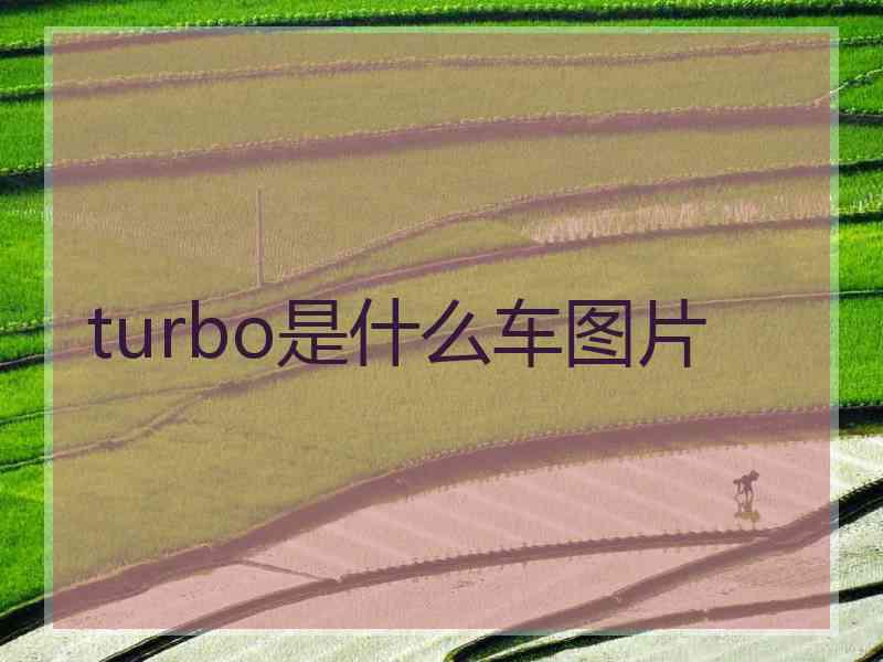 turbo是什么车图片