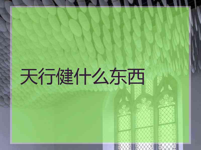 天行健什么东西