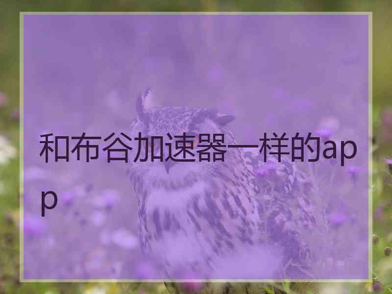 和布谷加速器一样的app