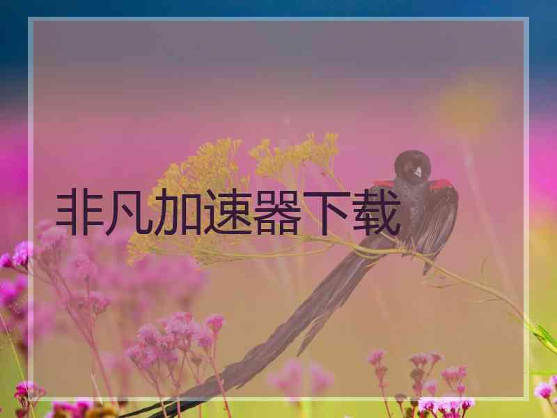 非凡加速器下载