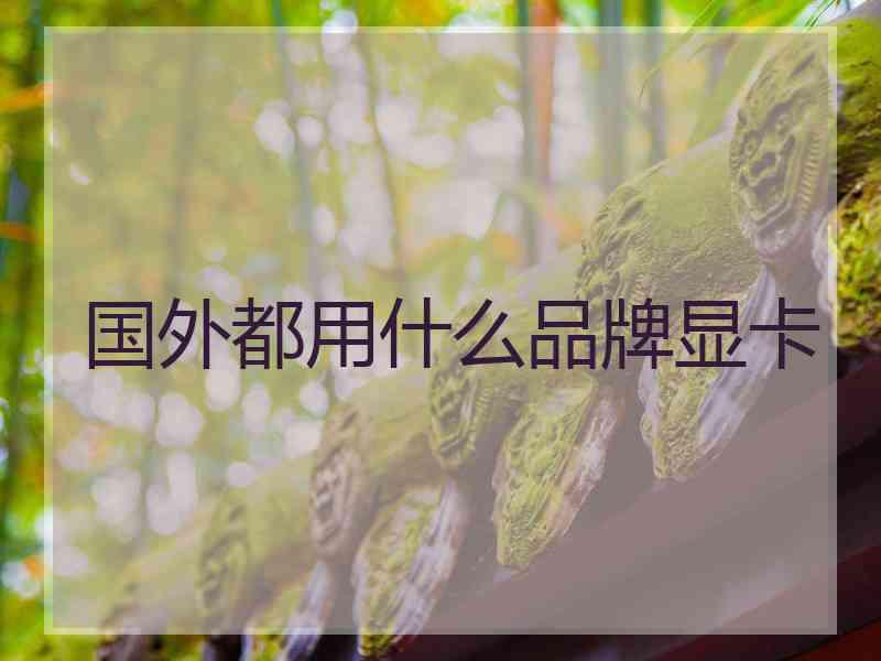国外都用什么品牌显卡