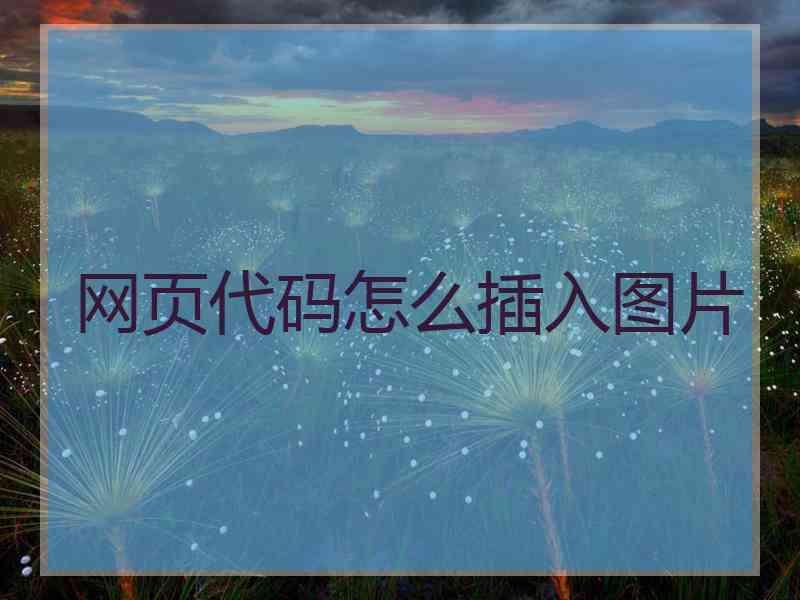 网页代码怎么插入图片