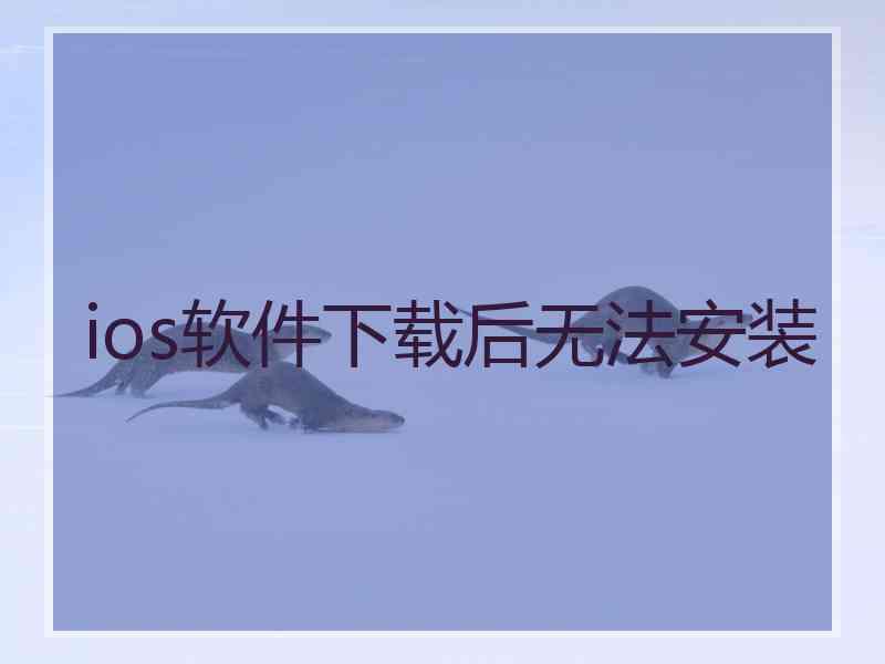 ios软件下载后无法安装