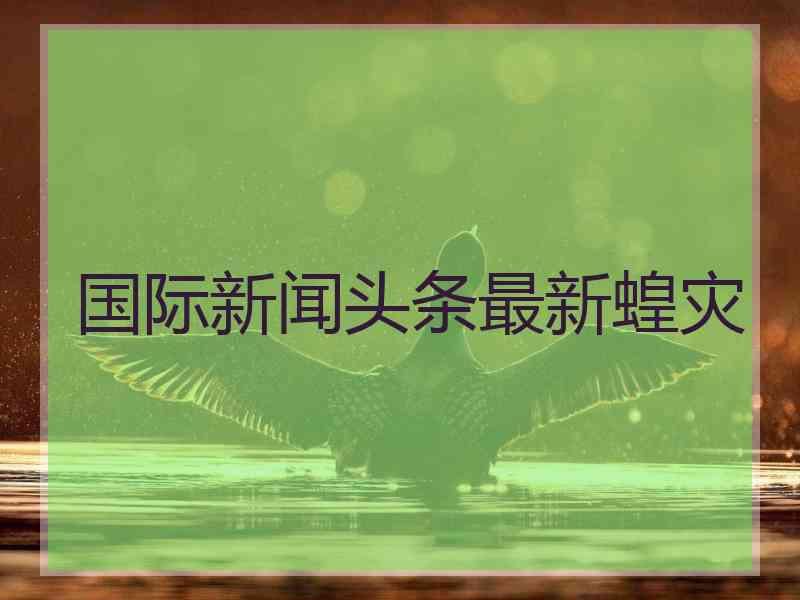 国际新闻头条最新蝗灾
