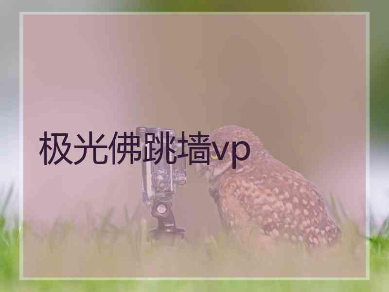 极光佛跳墙vp