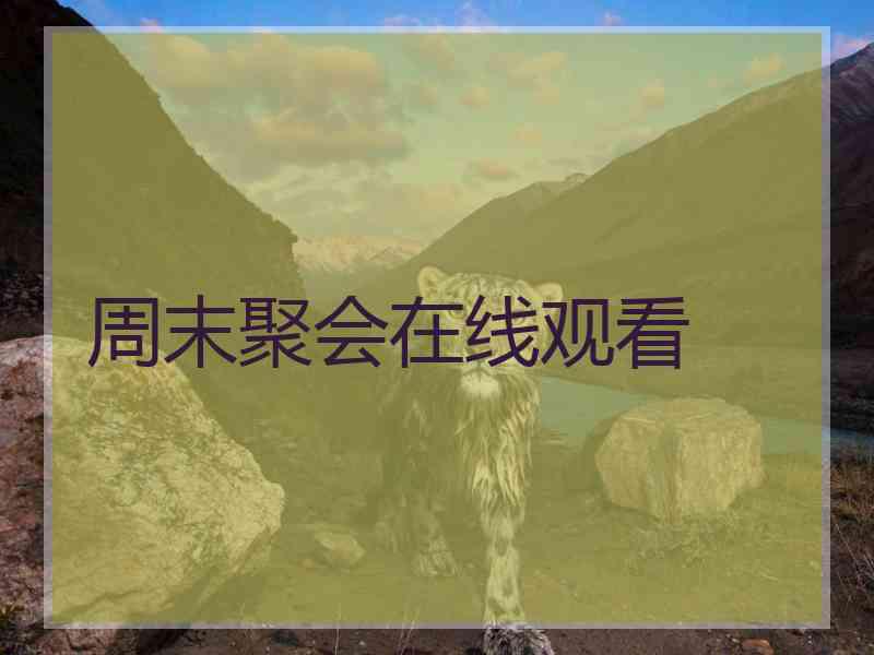 周末聚会在线观看