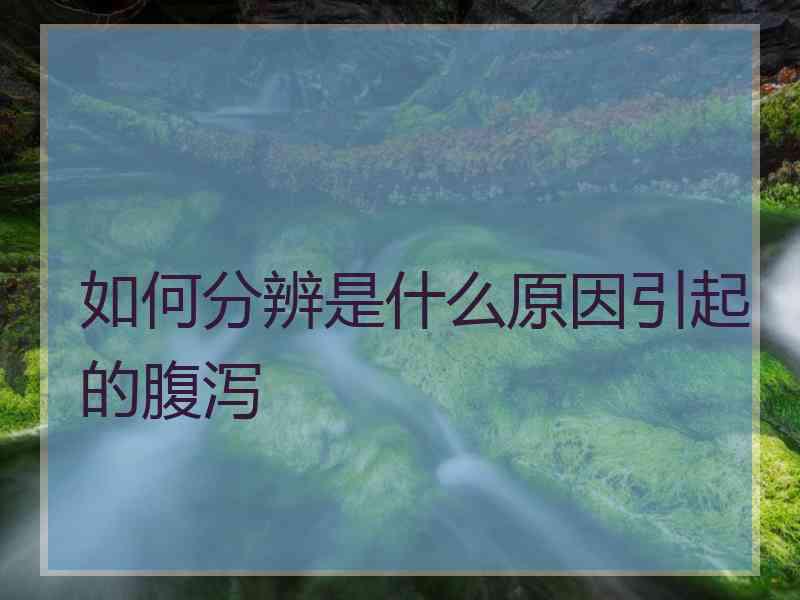 如何分辨是什么原因引起的腹泻