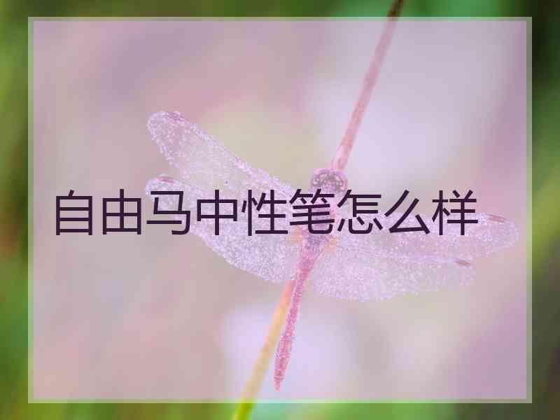 自由马中性笔怎么样