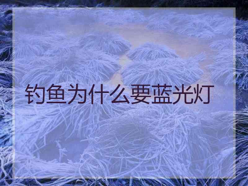钓鱼为什么要蓝光灯