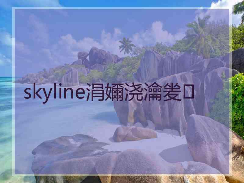 skyline涓嬭浇瀹夎