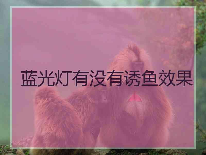 蓝光灯有没有诱鱼效果