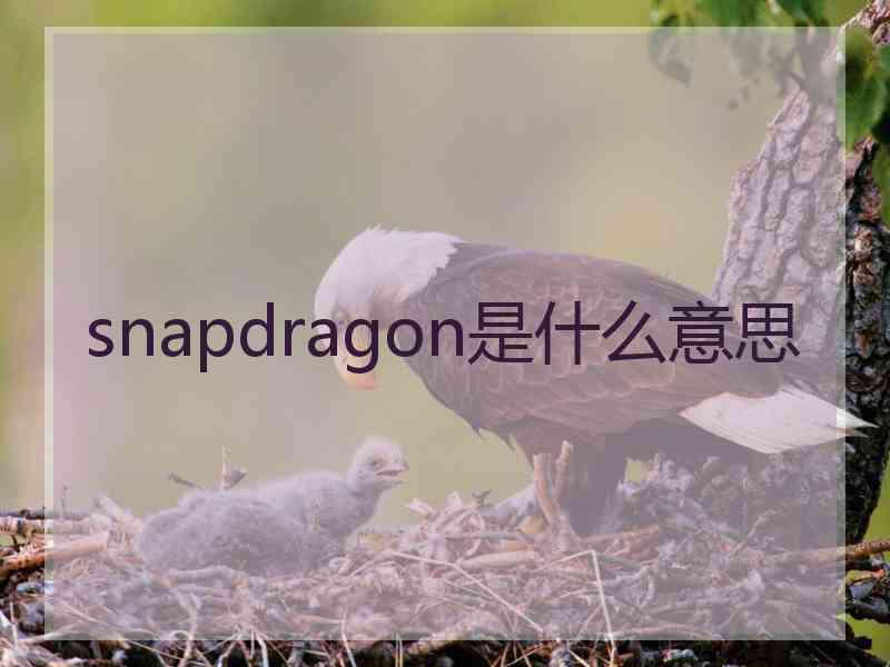 snapdragon是什么意思