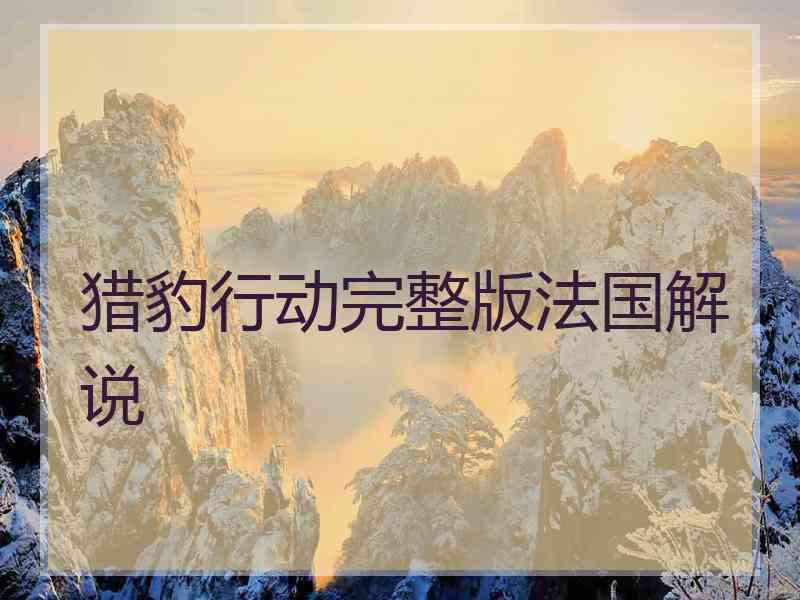猎豹行动完整版法国解说
