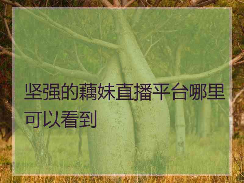 坚强的藕妹直播平台哪里可以看到
