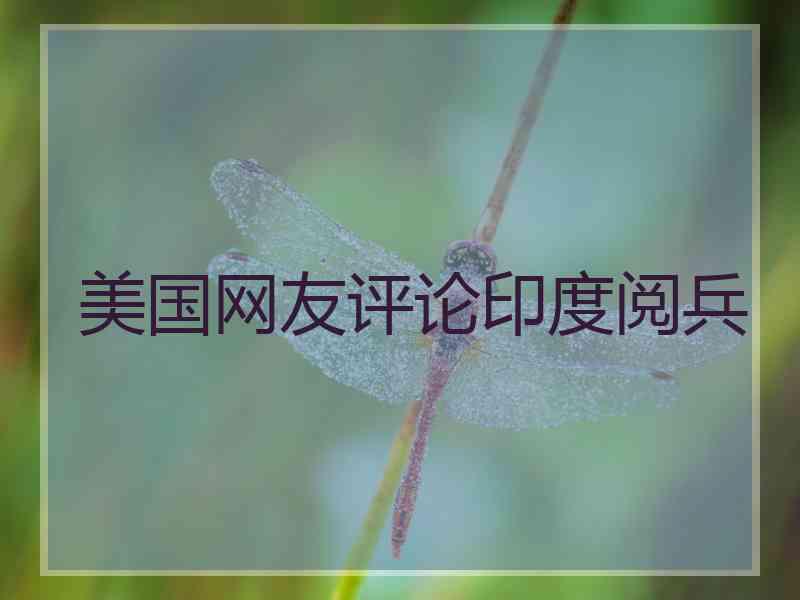 美国网友评论印度阅兵