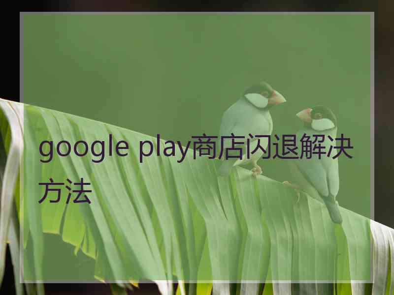 google play商店闪退解决方法