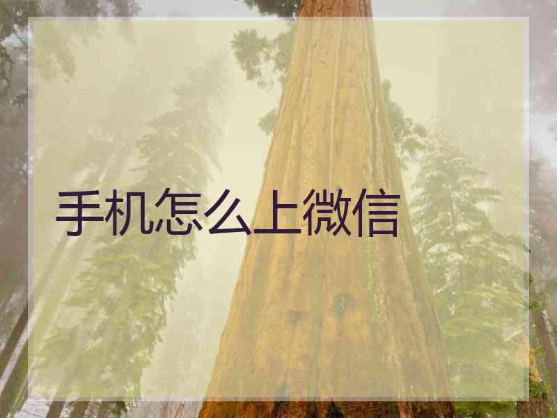 手机怎么上微信