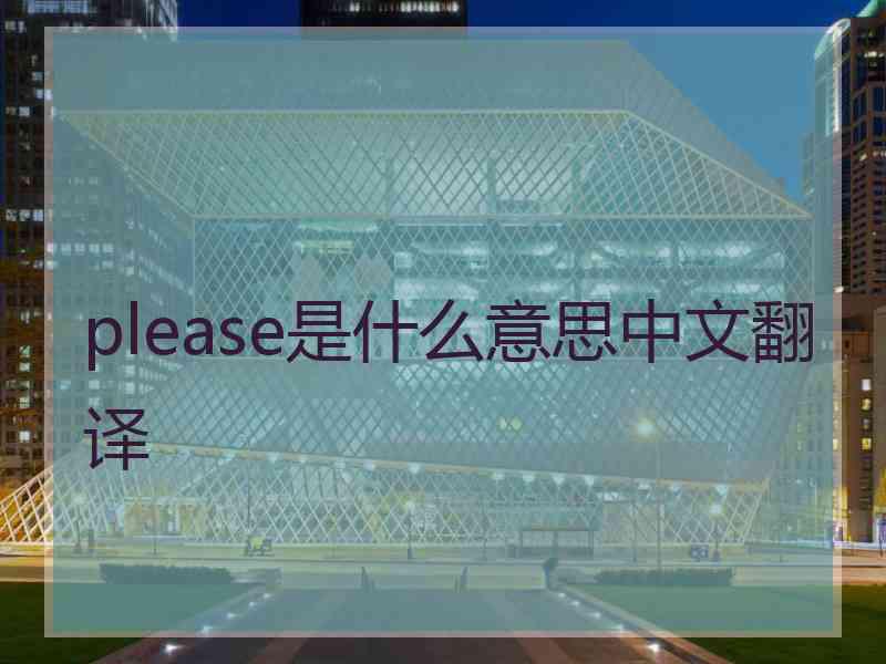 please是什么意思中文翻译