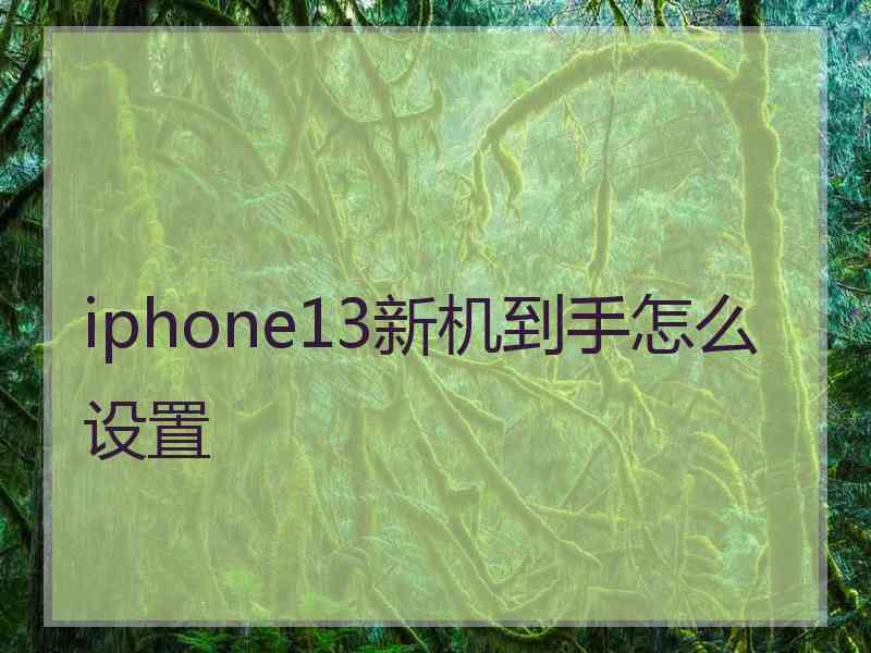 iphone13新机到手怎么设置