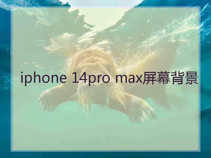 iphone 14pro max屏幕背景