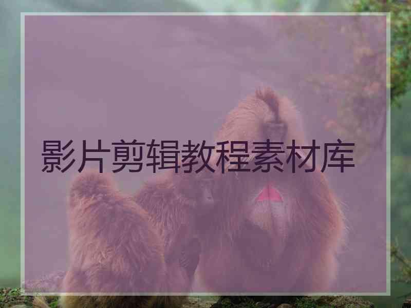 影片剪辑教程素材库