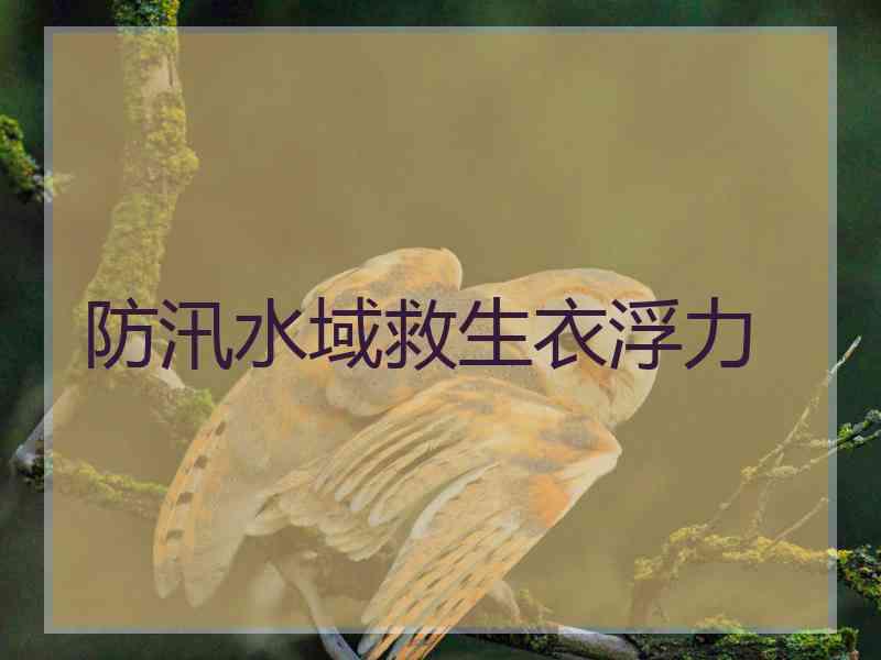 防汛水域救生衣浮力