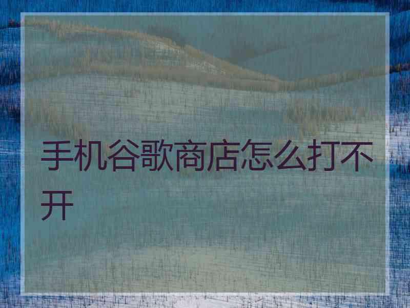 手机谷歌商店怎么打不开