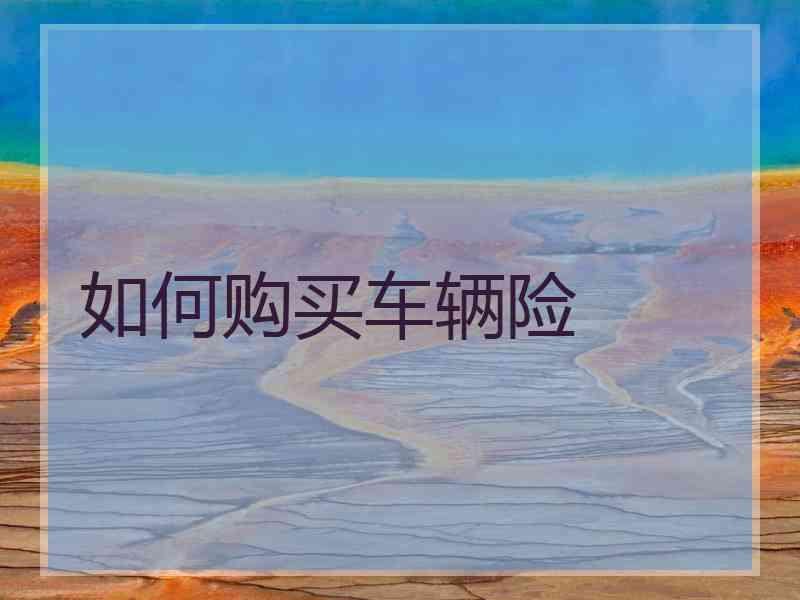 如何购买车辆险