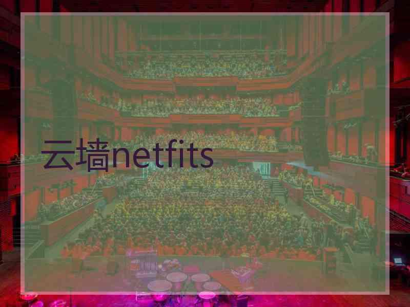云墙netfits