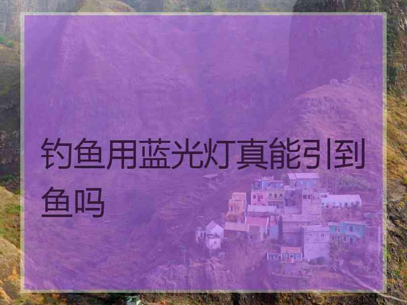 钓鱼用蓝光灯真能引到鱼吗