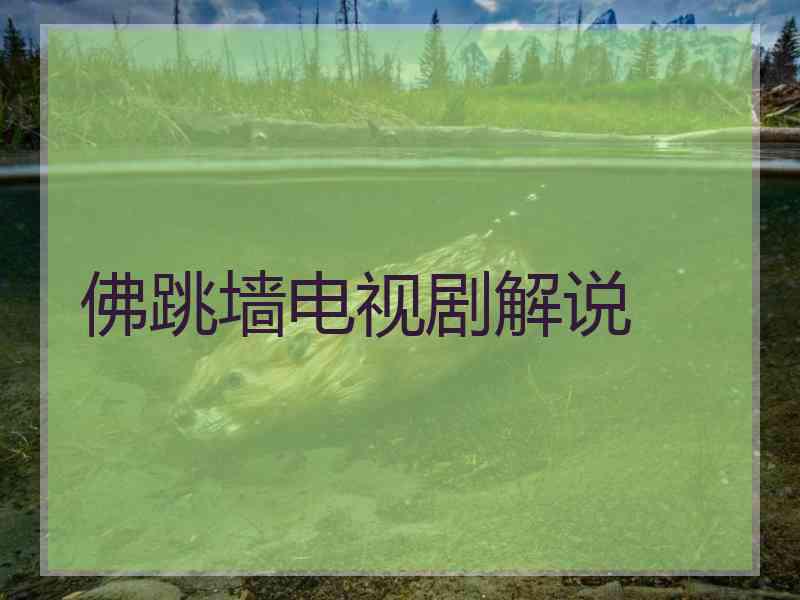 佛跳墙电视剧解说