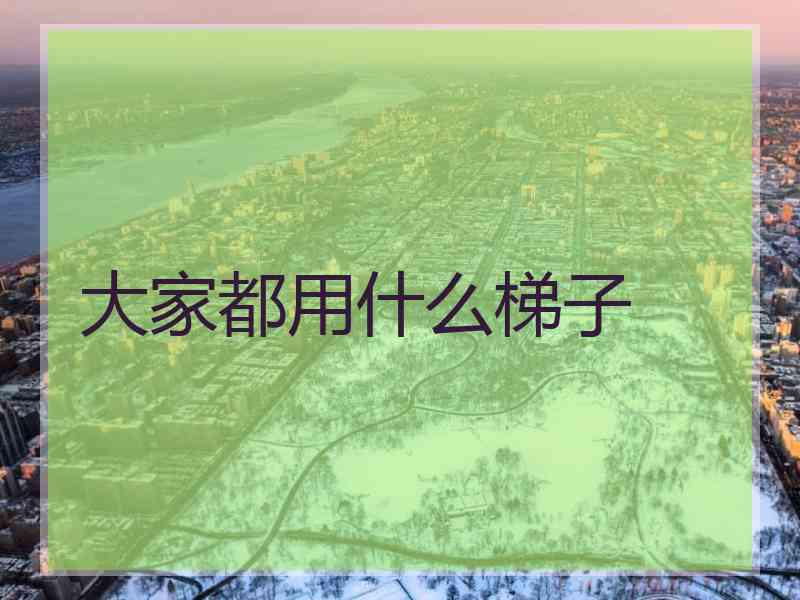 大家都用什么梯子