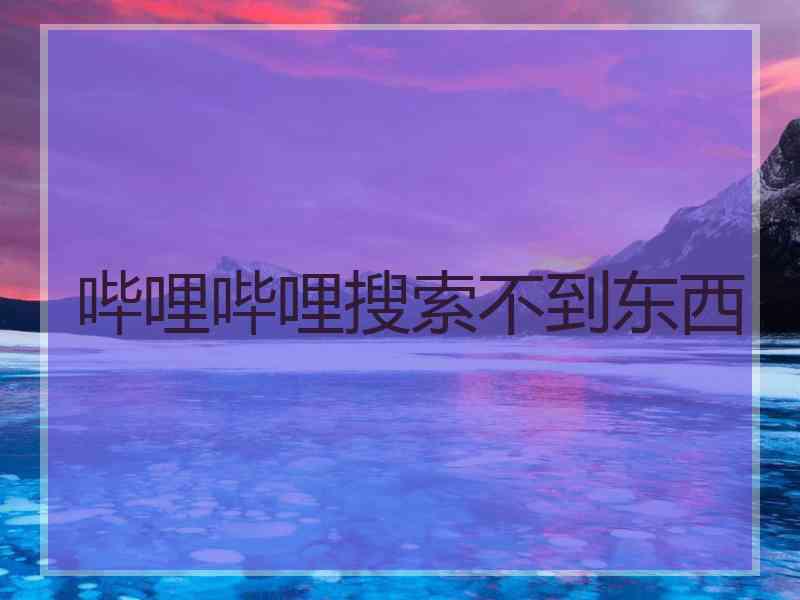 哔哩哔哩搜索不到东西