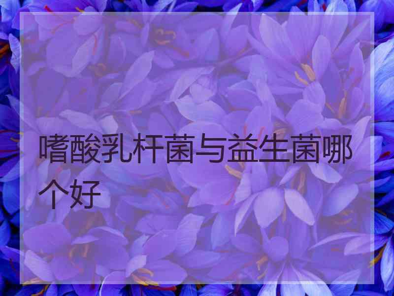 嗜酸乳杆菌与益生菌哪个好