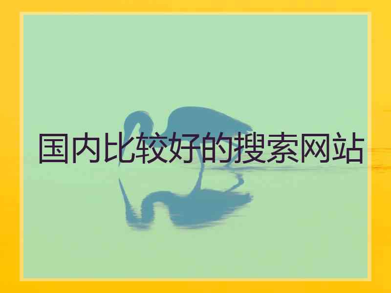 国内比较好的搜索网站