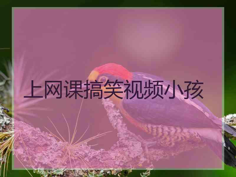 上网课搞笑视频小孩