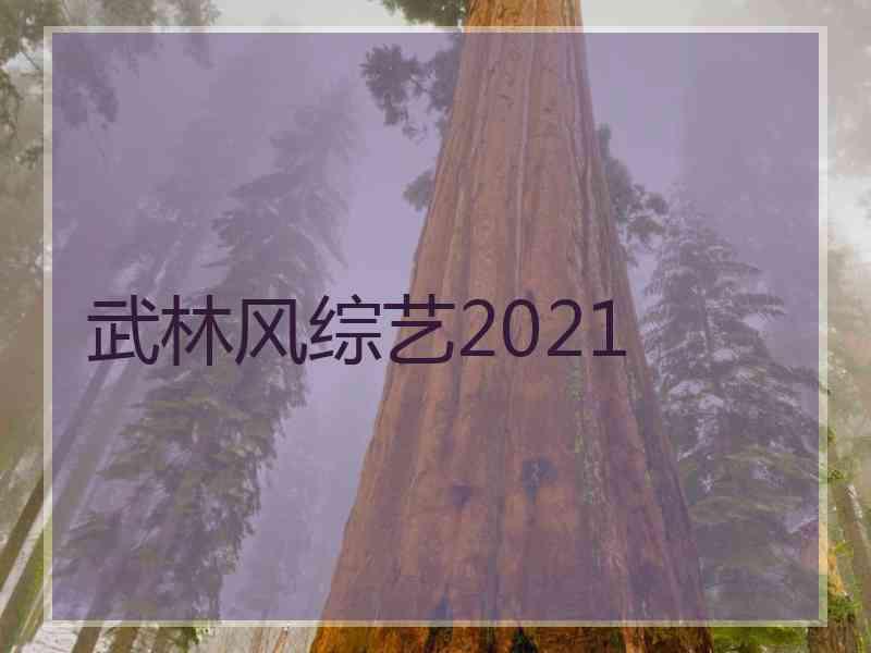 武林风综艺2021