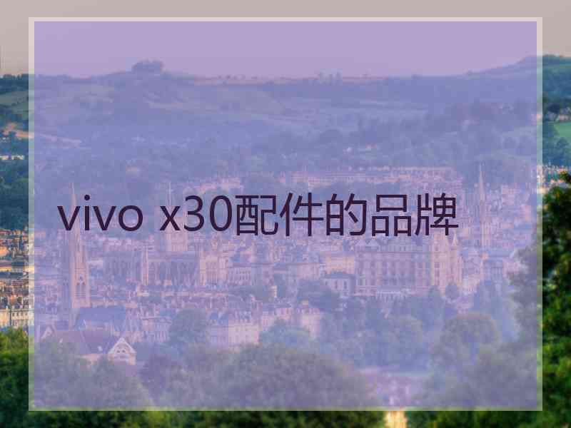 vivo x30配件的品牌