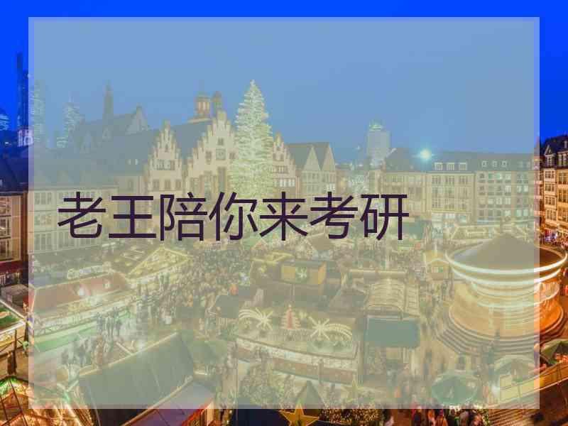 老王陪你来考研