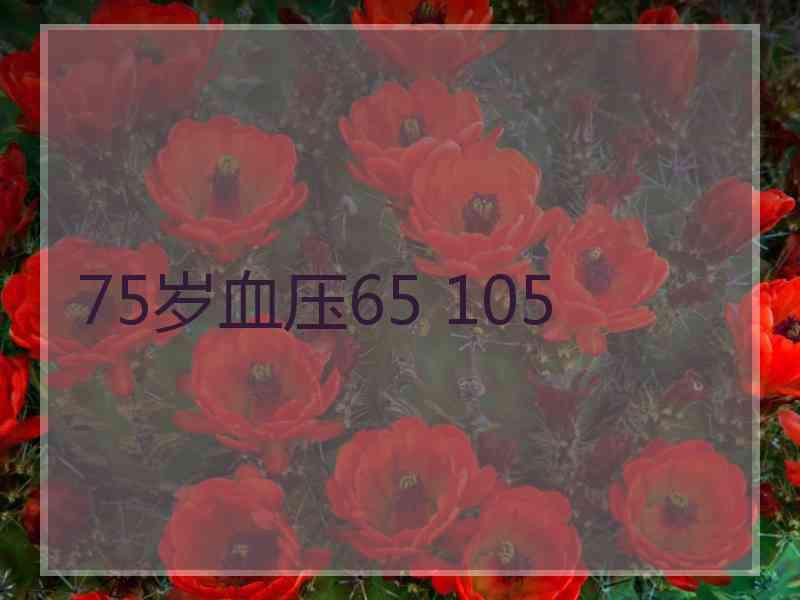 75岁血压65 105