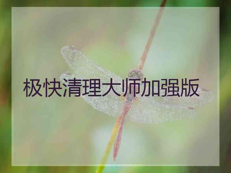 极快清理大师加强版