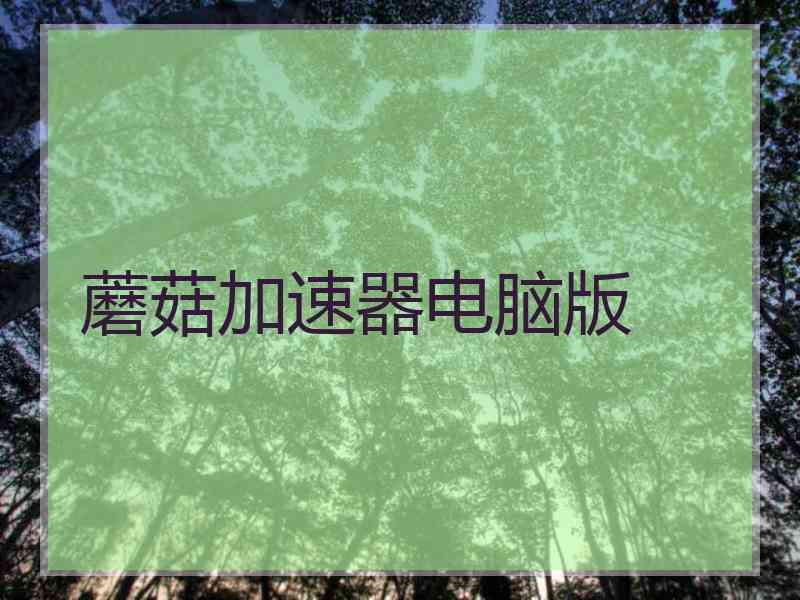蘑菇加速器电脑版