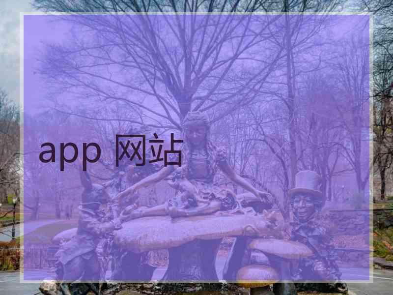 app 网站