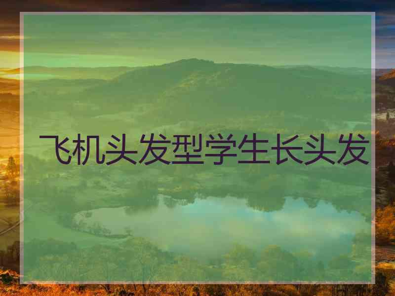 飞机头发型学生长头发