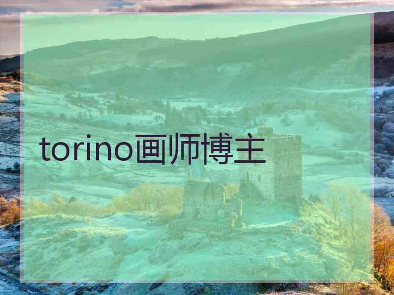 torino画师博主