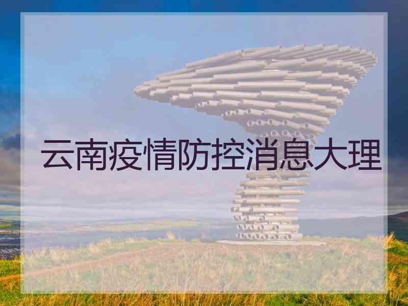 云南疫情防控消息大理