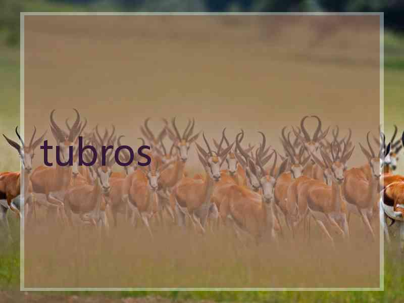 tubros